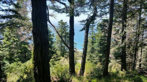 1656 Cameron Rd, Elk, CA 95432-9204