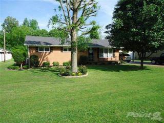215 Alexander St, Bradford, TN 38316-8658