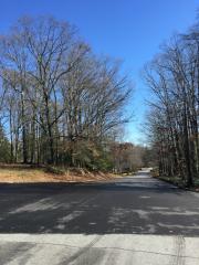 201 Rosebay Dr, Greenville, SC 29615-4439