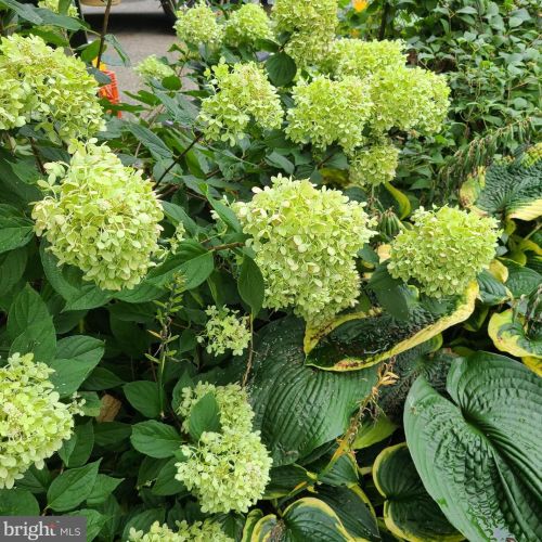 1139 Wilson Ave, Glen Mills PA  19342-9610 exterior