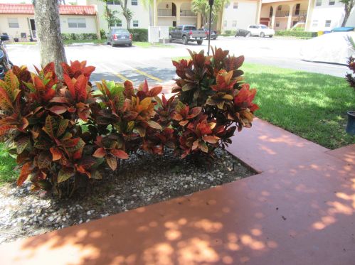 220 Lake Frances Dr, West Palm Beach, FL 33411-2326