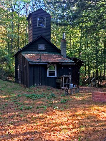 847 Hoffman Rd, Olmstedville, NY 12857-2415