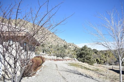 1510 Desert Front Rd, Wrightwood, CA 92397-9785
