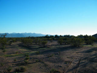 30810 Crozier Rd, Wittmann, AZ 85361-5031