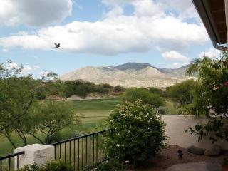 38291 Samaniego Dr, Tucson, AZ 85739-1047