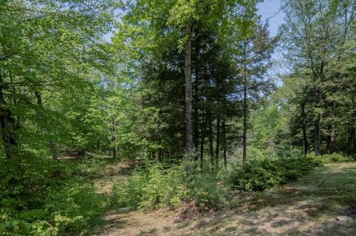 565 Penacook Rd, Hopkinton NH  03229-2916 exterior