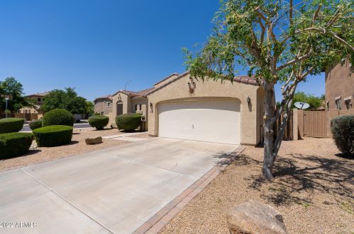 3276 Bluejay Dr, Chandler, AZ 85286-5708