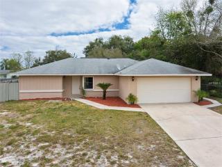 1711 Ingram Ter, Deltona, FL 32725-4873