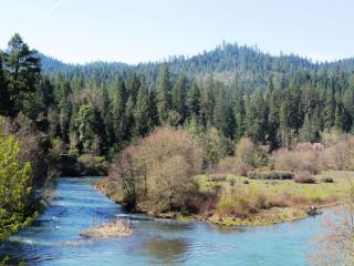 7163 Crowfoot Rd, Trail, OR 97541-9624