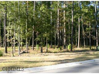 184 Cutter Cir, Bluffton SC  29909-4317 exterior