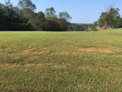 708 Proctor Rd, Beattyville, KY 41311-7568
