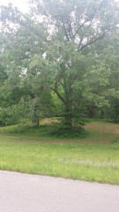 441 Chalk Hill Church Rd, Camden, TN 38320-7547