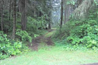18543 Surcingle Ct, Yelm, WA 98597-9049