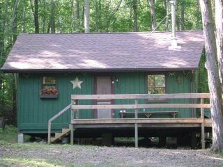 72 Beaver Hl, Campbell, NY 14821-9434
