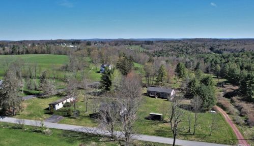 19 Tomel Rd, Cochecton, NY 12726-5436