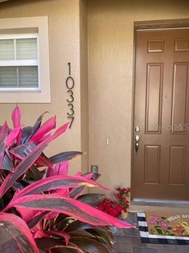 10337 Belfry Cir, Orlando, FL 32832-6300