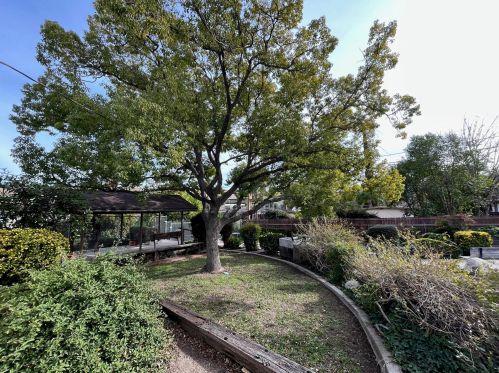 1649 Porter St, San Bernardino CA  92407-6741 exterior