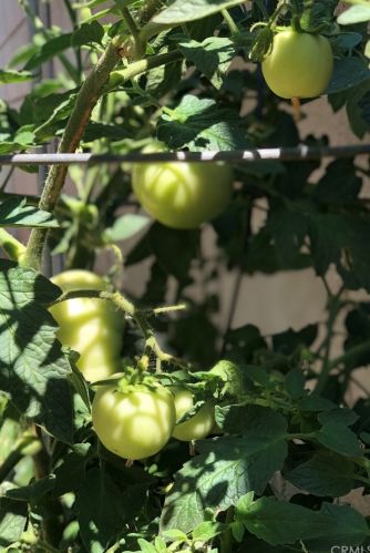 1563 Dawley Ave, City Of Industry CA  91744 exterior