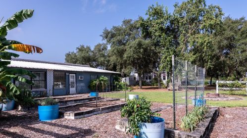 20211 Saltsdale Rd, Umatilla, FL 32784-8356