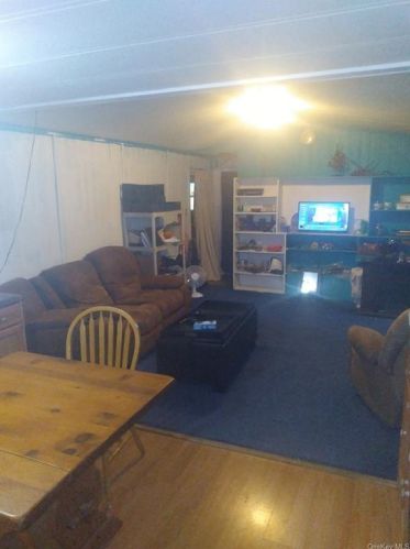 461 Back Shandelee Rd, Lew Beach, NY 12758-6546