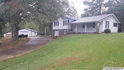 1049 Mount Sinai Rd, Horton, AL 35980-8825