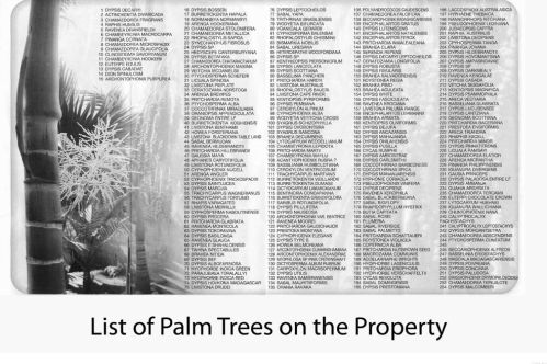 4438 Pescadero Ave, San Diego CA 92107-3629 exterior