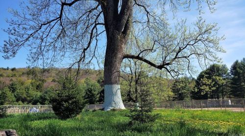 202 Edwards Rd, Monticello NY  12701-3420 exterior