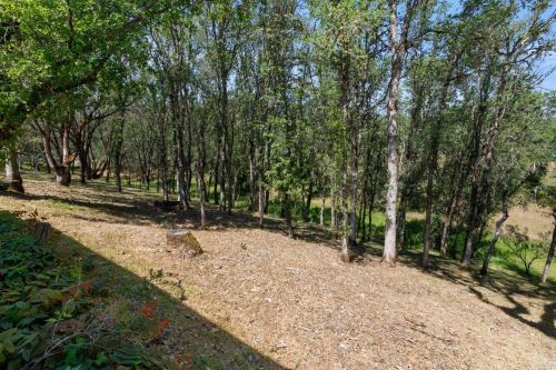 675 Starr Dust Ct, Lakeport CA  95453-6976 exterior