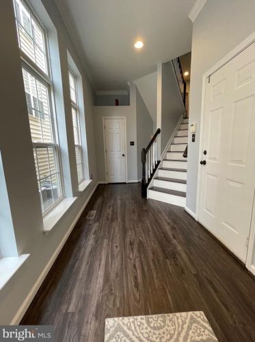 8353 Middle Ruddings Dr, Lorton VA  22079-2783 exterior