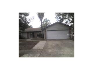 934 Drepsen Hook Dr, Orlando, FL 32825-6685