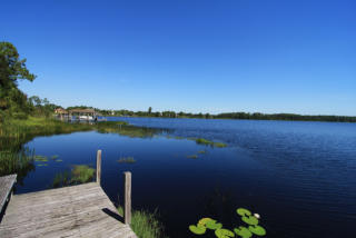 9011 Lake Mabel Dr, Orlando, FL 32836-8804