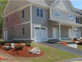 91 Woodview Way, Manchester, NH 03102-8423