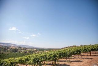 4265 Morse Ln, Winters, CA 95694-9680