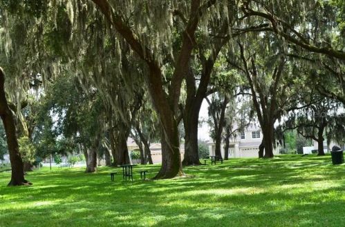 3738 Golden Eagle Dr, Land O Lakes FL  34639-9542 exterior