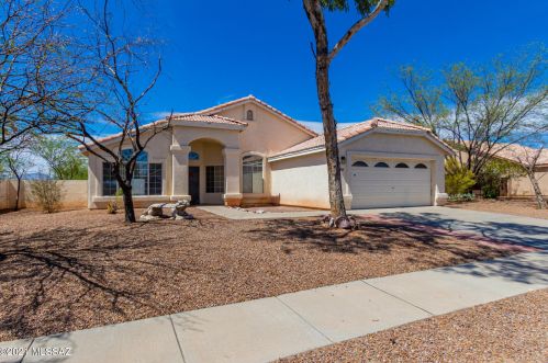 9173 La Palma Dr, Tucson, AZ 85747-5306