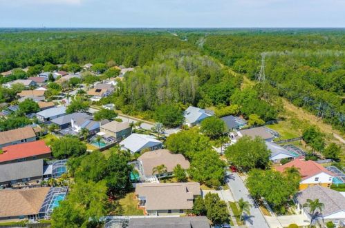 4784 Ridgemoor Cir, Palm Harbor FL  34685-3149 exterior