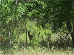 29342 Sky Forest Cir, Magnolia, TX 77355-7006