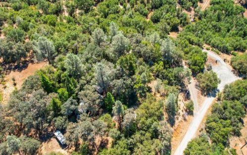 14665 Paradise Ln, Brownsville, CA 95919-9765