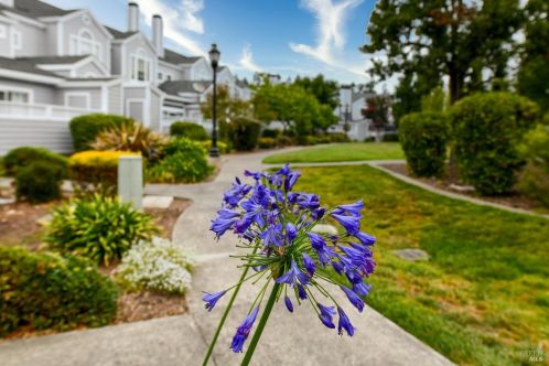 738 Jasmine Cir, Santa Rosa CA 95407-6780 exterior