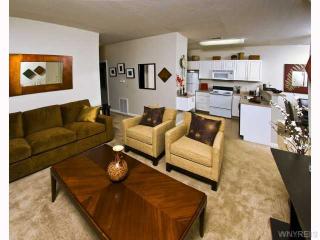 4045 Coventry Green Cir, Buffalo NY  14221-7234 exterior