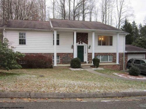 1612 Michael Ln, White Hall, WV 26554-2113