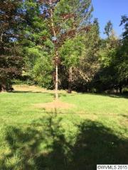 3659 Balm St, Salem, OR 97302-6062