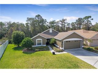 257 Oak Chase Pl, Davenport, FL 33896-6103