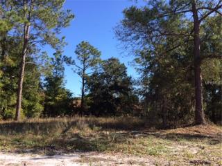 8678 Chickasaw Farms Ln, Orlando, FL 32825-8425