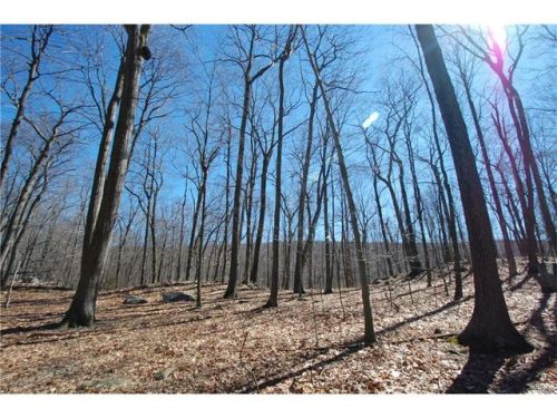 321 Buttermilk Falls Rd, Warwick, NY 10990-3861