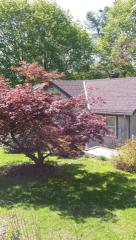 55 Montrose Dr, Kent Lakes, NY 10512-6604
