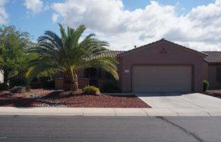 16704 Rincon Peak Dr, Sun City, AZ 85387-8231