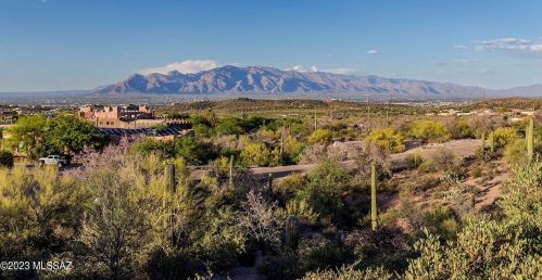 980 Mcelroy Pl, Tucson, AZ 85745-9024
