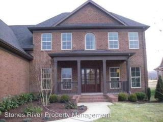 8062 Fenwick Ln, Spring Hill, TN 37174-9528
