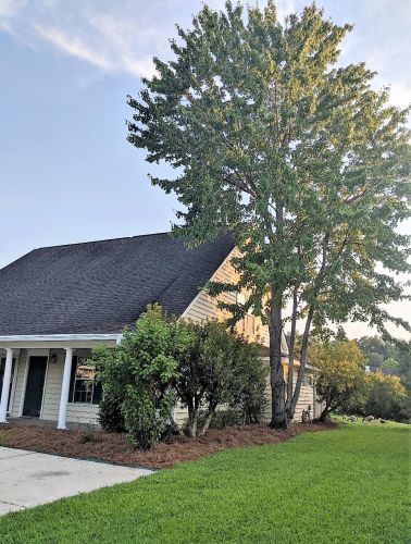 1676 Baltusrol Ln, Mount Pleasant SC  29466-9005 exterior